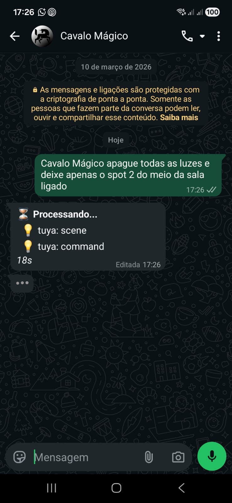Comando recebido — DM